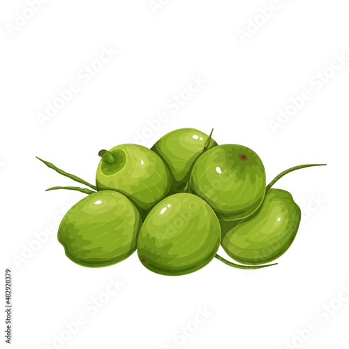 Pile of young green coconuts vector illustration.