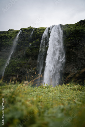 waterfall with flowers in the foreground