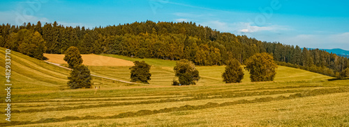 Beautiful summer view near Kirchberg im Wald, Bavarian forest, Bavaria, Germany