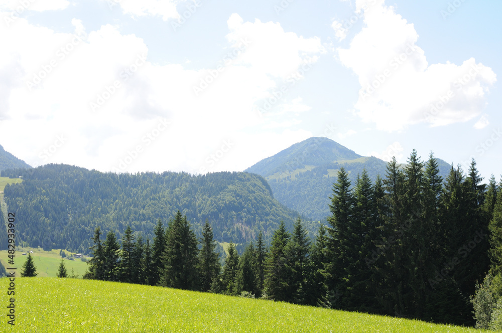 Obraz premium landscape with mountains