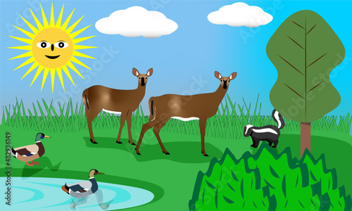 Animals in the meadow with Ducks in the Pond  Sun  deer and skunk looking on. 