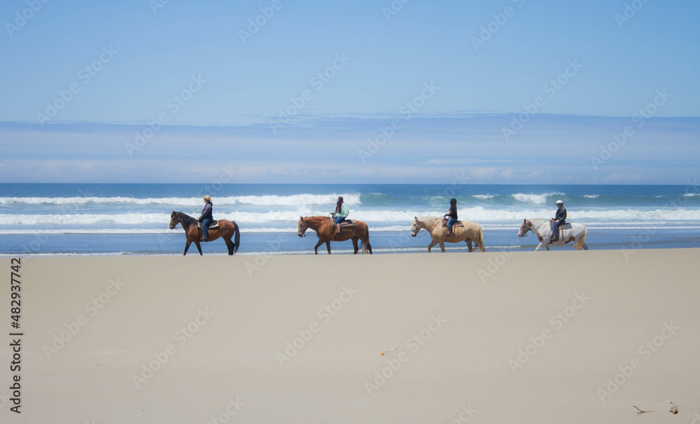Horseback riding on the coast 