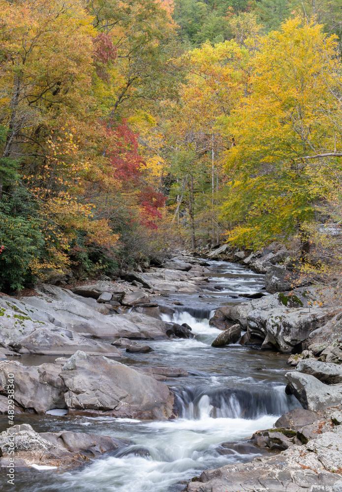 Great Smoky Mountains - Little Pigeon River Great Smoky Mountains - Little Pigeon River
