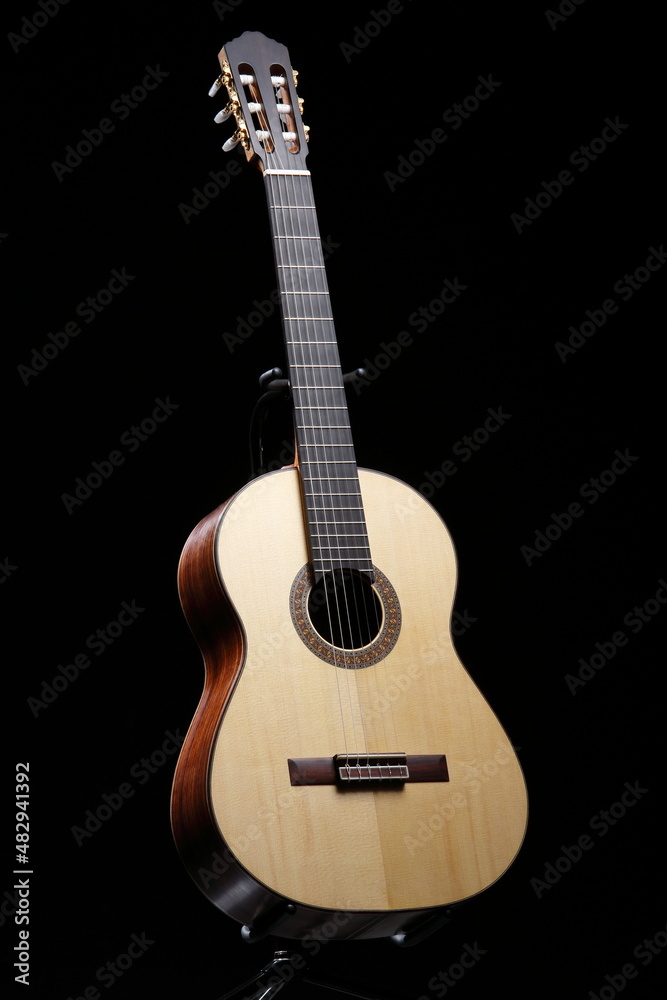 guitar isolated guitar isolated