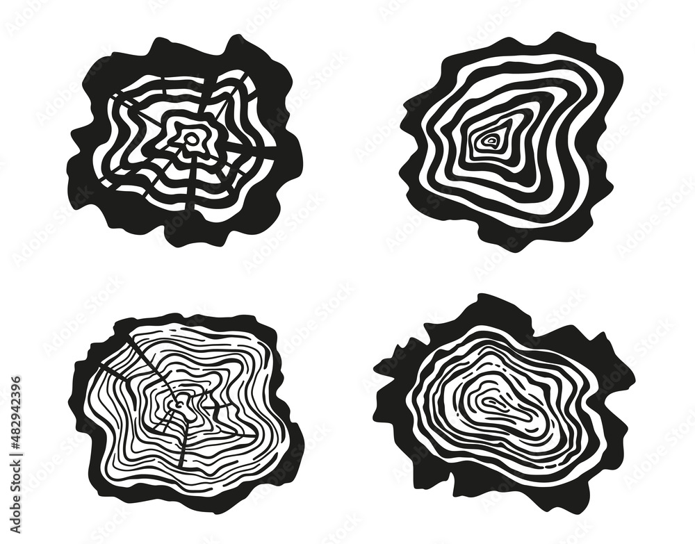Tree rings. Set of cross section of the tree. Conceptual graphics. Tree ...