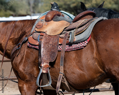 A saddle on a roping horse in Arizona