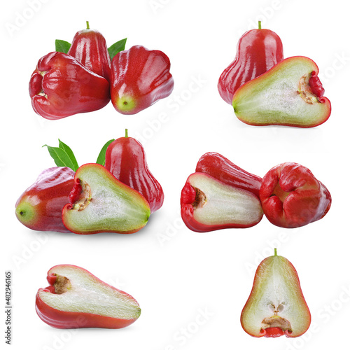 ripe roseapple isolated on a white background photo