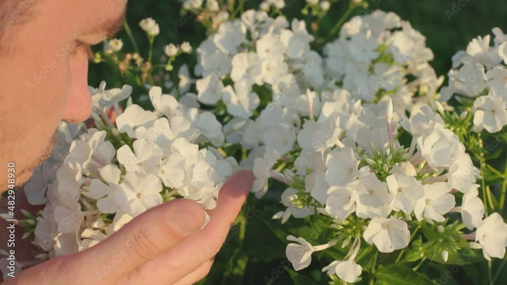 A man smells flowers in the garden A man smells flowers in the garden