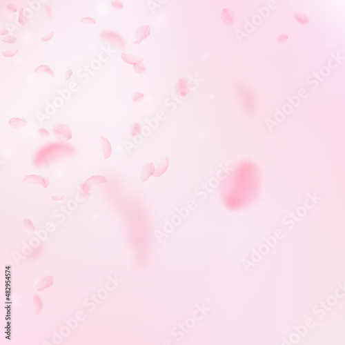 Sakura petals falling down. Romantic pink flowers corner. Flying petals on pink square background. Love, romance concept. Breathtaking wedding invitation.