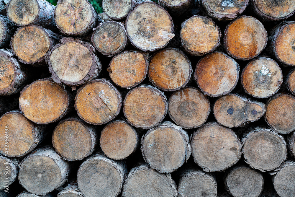 Deforestation. Tree logs after clearing of plantation in forest. Raw timber from felling site. Stacks of cut wood and logging industry Deforestation. Tree logs after clearing of plantation in forest. Raw timber from felling site. Stacks of cut wood and logging industry