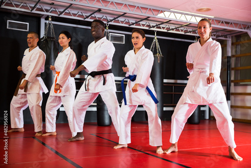 Polyethnic men and women wearing kimono and belts. Group of people doing kata during karate training.