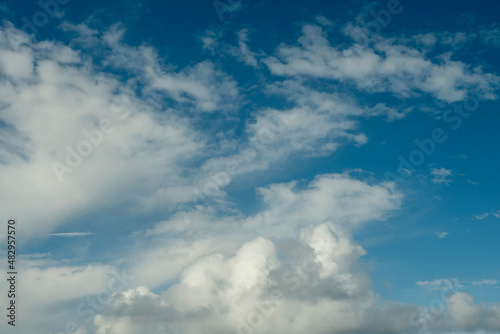 Fototapeta Naklejka Na Ścianę i Meble -  White clouds o blue sky. Bird or dragon shape. Abstract nature background