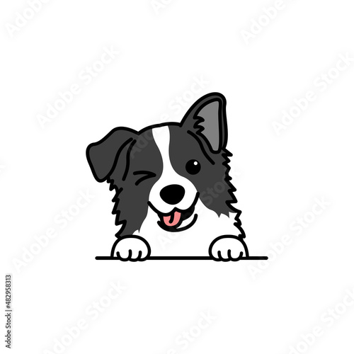 Cute border collie dog winking eye cartoon, vector illustration