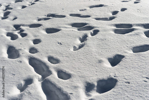 abstract winter scene with footprints in the snow