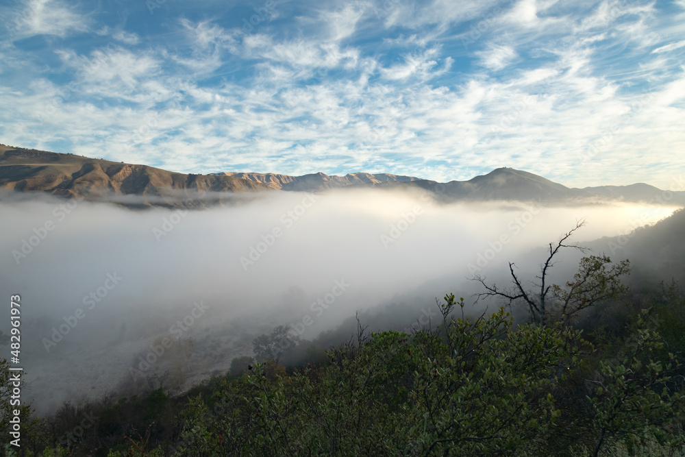 los padres national forest blooms and clouds