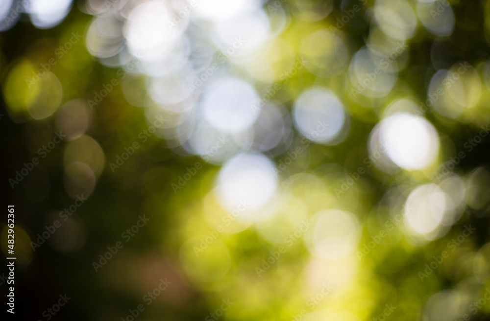 View of a tree out of focus and backlit.