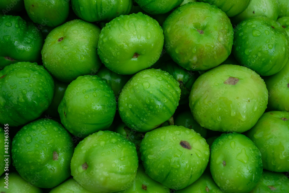 green healthy garden egg fruit in a market green healthy garden egg fruit in a market