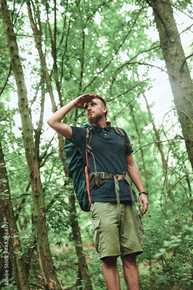 Lost young hippie hiker, searching for the path, lost in the forest, looking for the exit from the woods Lost young hippie hiker, searching for the path, lost in the forest, looking for the exit from the woods
