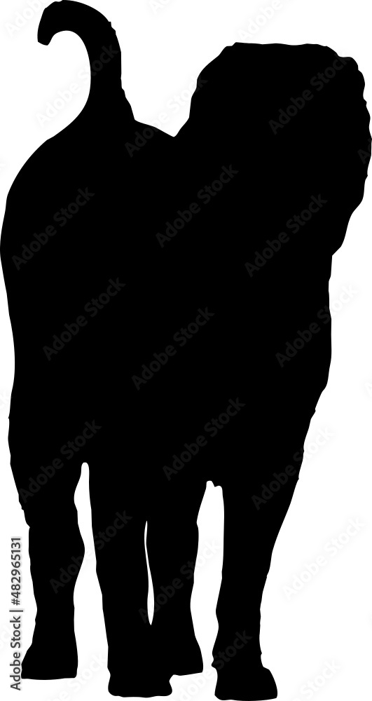 Shar Peï - Silhouette de sharpei, vecteur sur fond transparent Shar Peï - Silhouette de sharpei, vecteur sur fond transparent