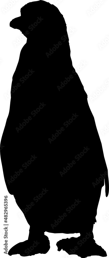 Silhouette animal de manchot, penguin noir fond tranparent Silhouette animal de manchot, penguin noir fond tranparent