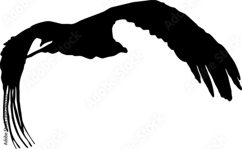 Vautour fauve - vecteur noir sur fond transparent - silhouette