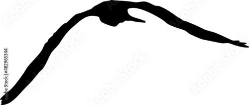 Vautour fauve - vecteur noir sur fond transparent - silhouette