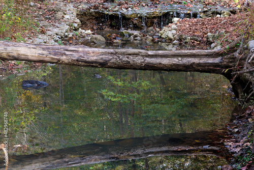 Water trickling off a rock formation into a stream and a fallen tree spanning the stream with it's reflection mirrored in the water below. 