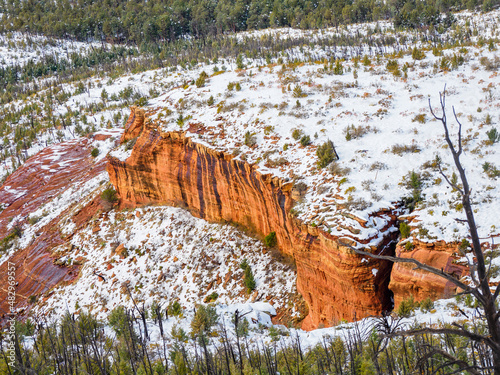 Snowy red sandstone pinnacles with light forest