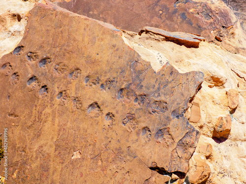 Prehistoric lizard tracks across fossilized mud