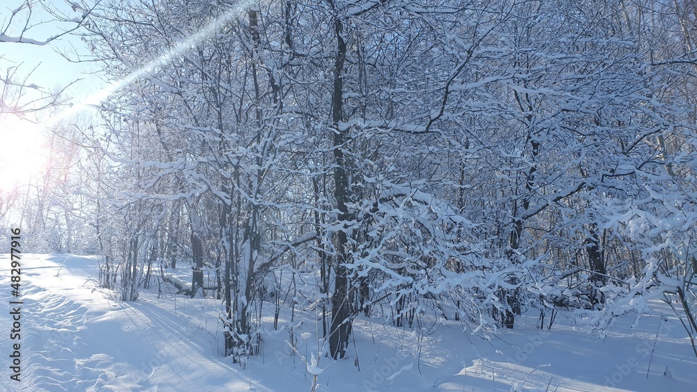 winter winter