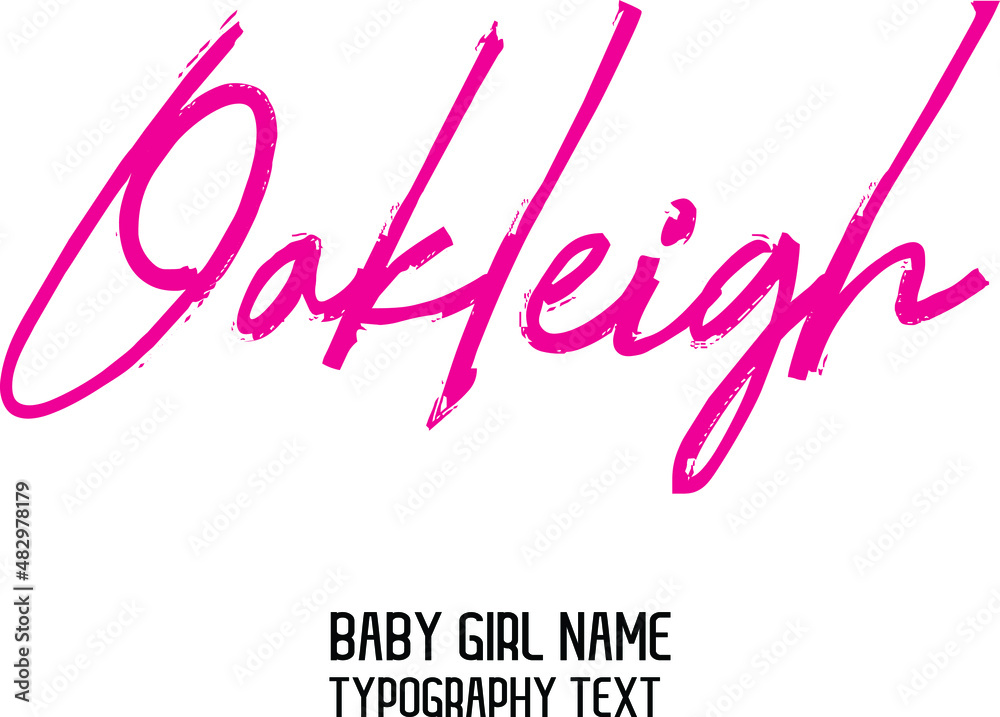 Woman's Name Vector Rough Brush Script Word art Pink Color Text Design