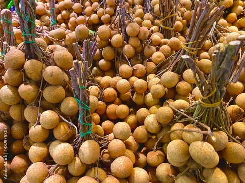 Dimocarpus longan Lour.