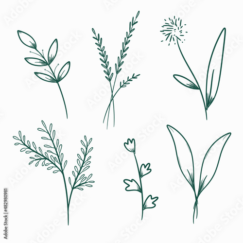 hand drawn flower and leaves collection