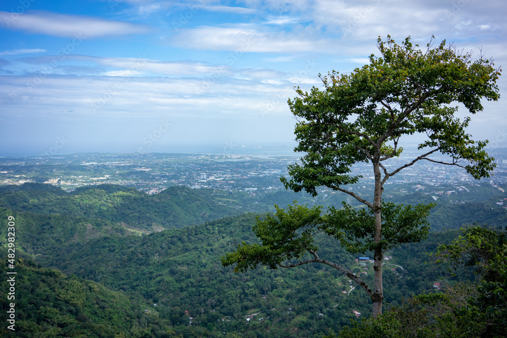 山の上からの景色：フィリピンのセブ
