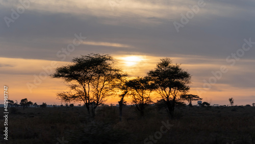Fototapeta Naklejka Na Ścianę i Meble -  sunset in the mountains Serengeti