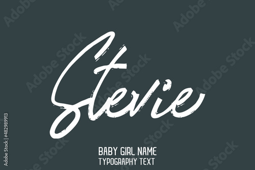 Stevie Baby Girl Name Handwritten Lettering Modern Calligraphy  on Grey Background photo