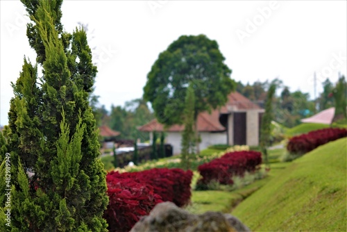 Wallpaper Mural Bali Indonesia Torontodigital.ca