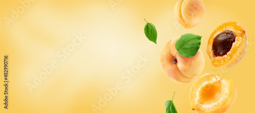 apricots group, slices and leaves flying on apricot colour background. Background for packaging and label design