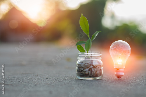 Light bulb Energy saving and a coin glass on the floor nature background Fototapet