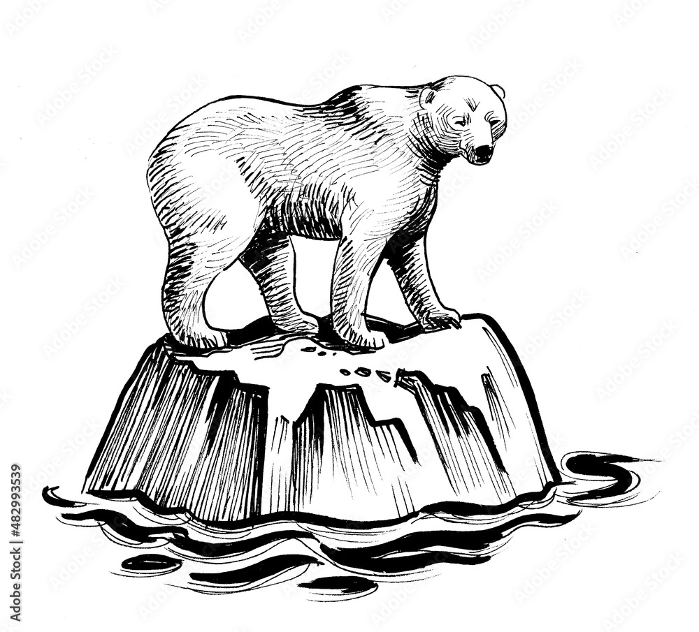 Polar bear on iceberg. Ink black and white drawing Stock Illustration ...