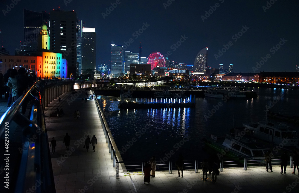 Fototapeta premium city skyline at night