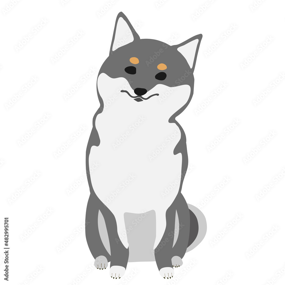 Obraz premium 首をかしげておすわりする黒柴