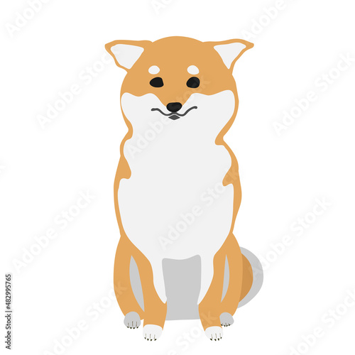 困り顔でおすわりする柴犬