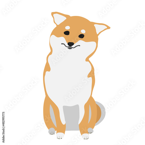 困り顔で首をかしげておすわりする柴犬
