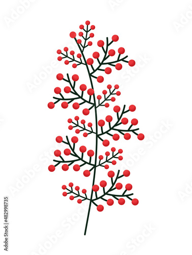 red berries branch