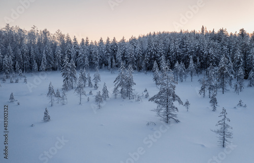 Snowy bog and forest in winter dawn. Beautiful snow landscape in Lapland, Finland