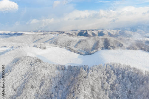 aerial view of Carpathian mountains in winter