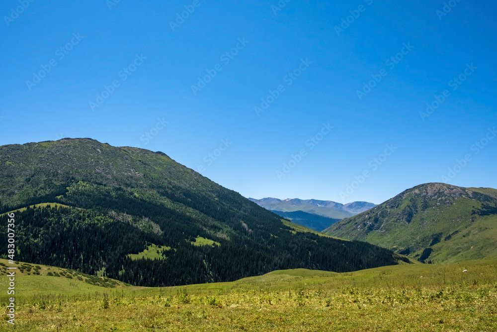 Green mountains with clear sky on background. Summer nature landscape. Nature background.