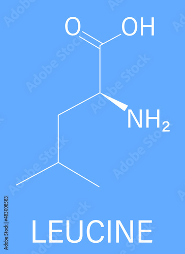 Leucine or l-leucine, Leu, L amino acid molecule. Skeletal formula.