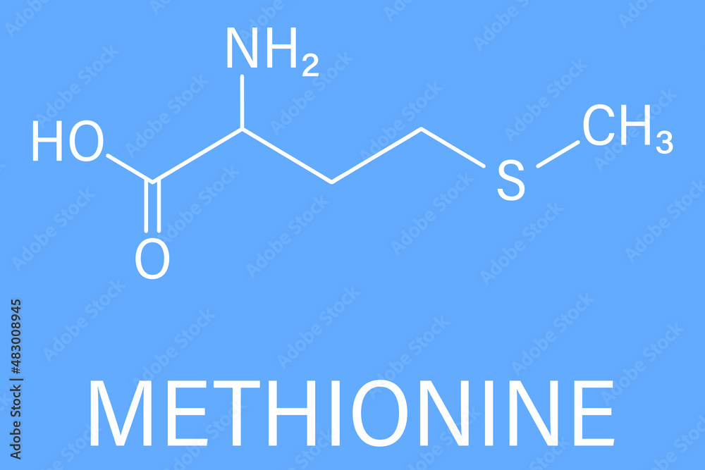 Methionine or l-methionine, Met, M amino acid molecule. Skeletal formula. Methionine or l-methionine, Met, M amino acid molecule. Skeletal formula.